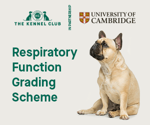 RFG Website Advert